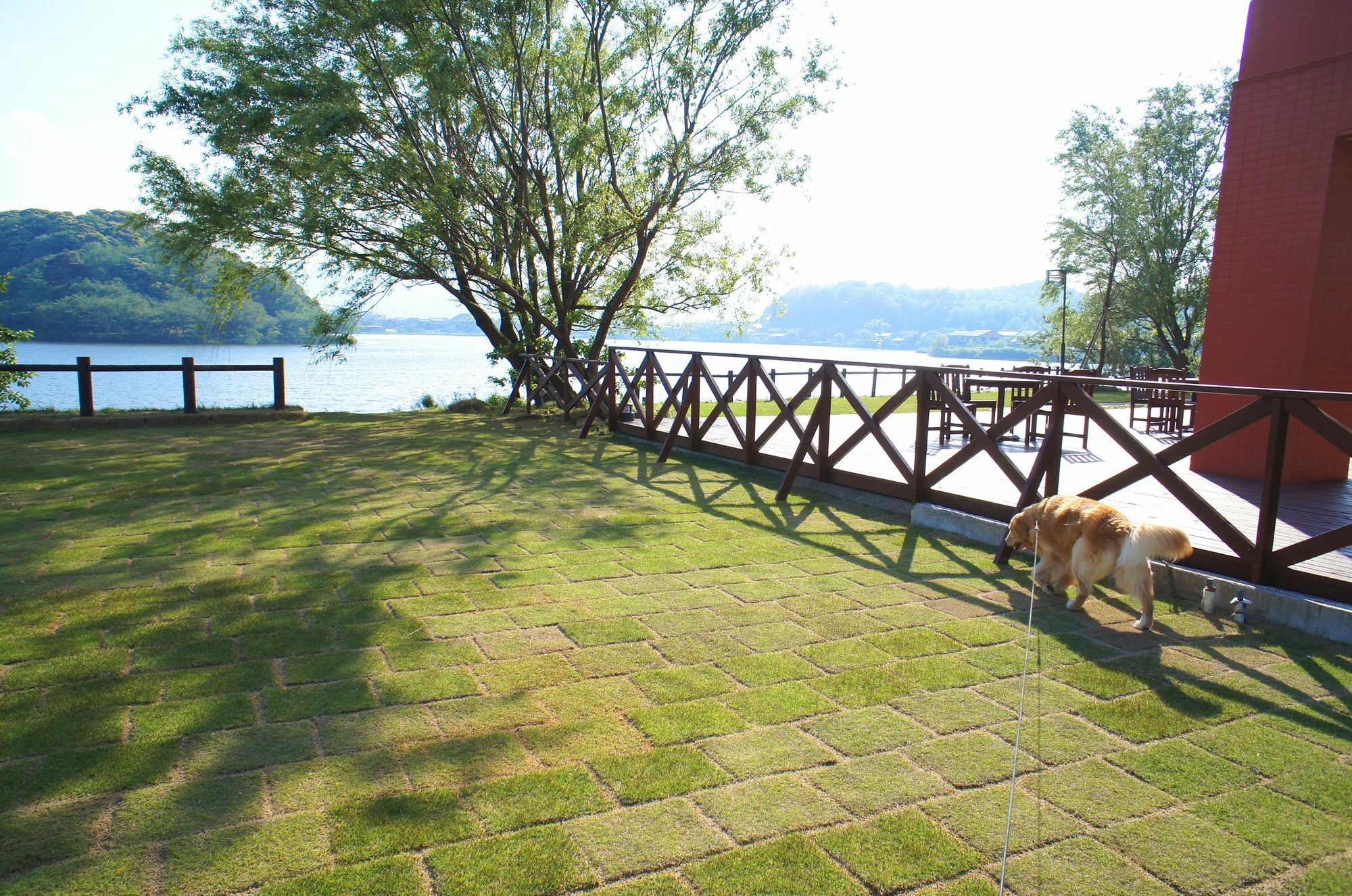 小白花度假村 京丹后市 外观 照片